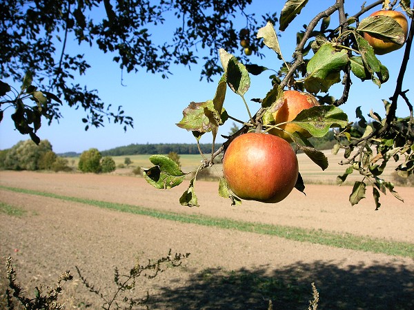 KOLO VÝLET - PŘÍRODNÍ PARK DŽBÁN